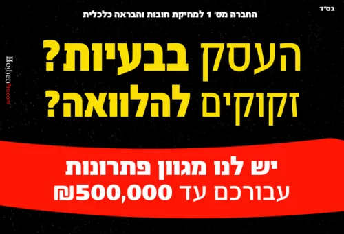 תמונה של הלוואות לעסקים